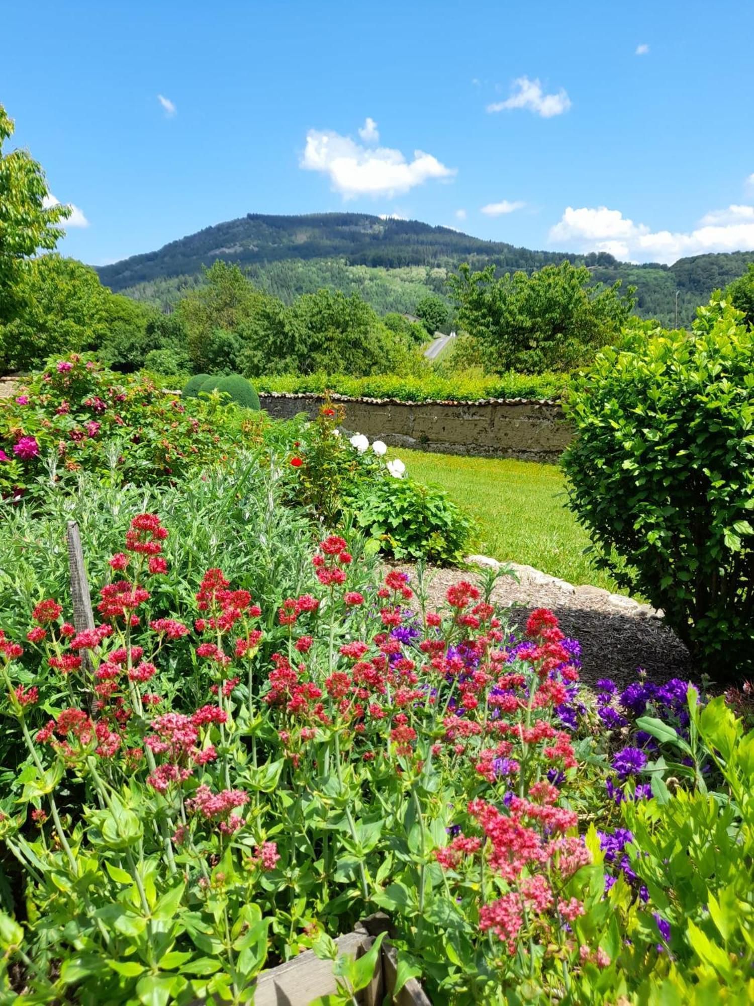 Le Jardin De Chignore Vollore-Ville Dış mekan fotoğraf
